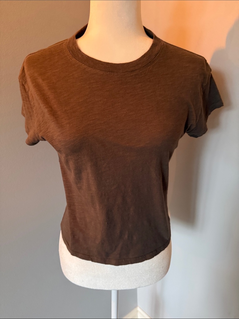 Z Supply Women's Short Sleeve Crewneck Fitted Tee in Chocolate Brown
